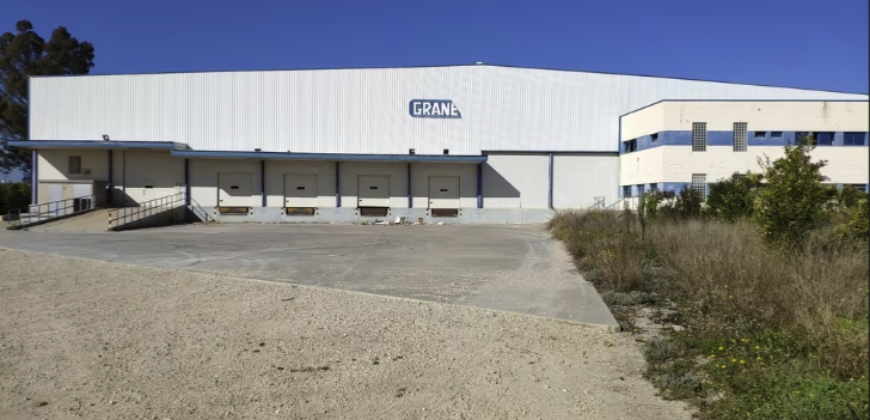 Nave industrial en venta en Camino Viejo Pobla Llarga, Villanueva de Castellón